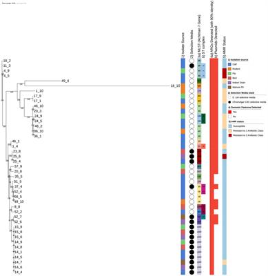 Dissemination of Resistant Escherichia coli Among Wild Birds, Rodents, Flies, and Calves on Dairy Farms